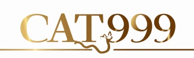 CAT999 Logo